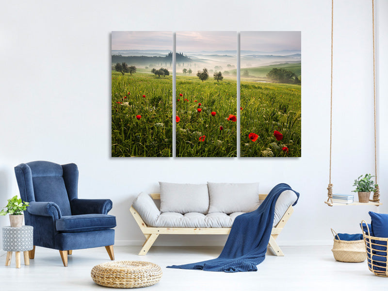 3-piece-canvas-print-tuscan-spring