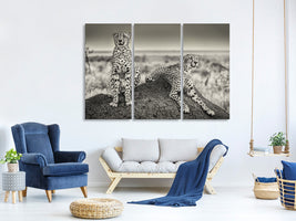 3-piece-canvas-print-two-cheetahs-watching-out