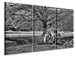3-piece-canvas-print-two-riders
