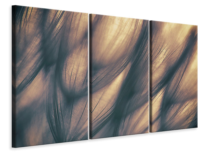 3-piece-canvas-print-untitled-xi