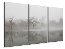 3-piece-canvas-print-untitled-xiii