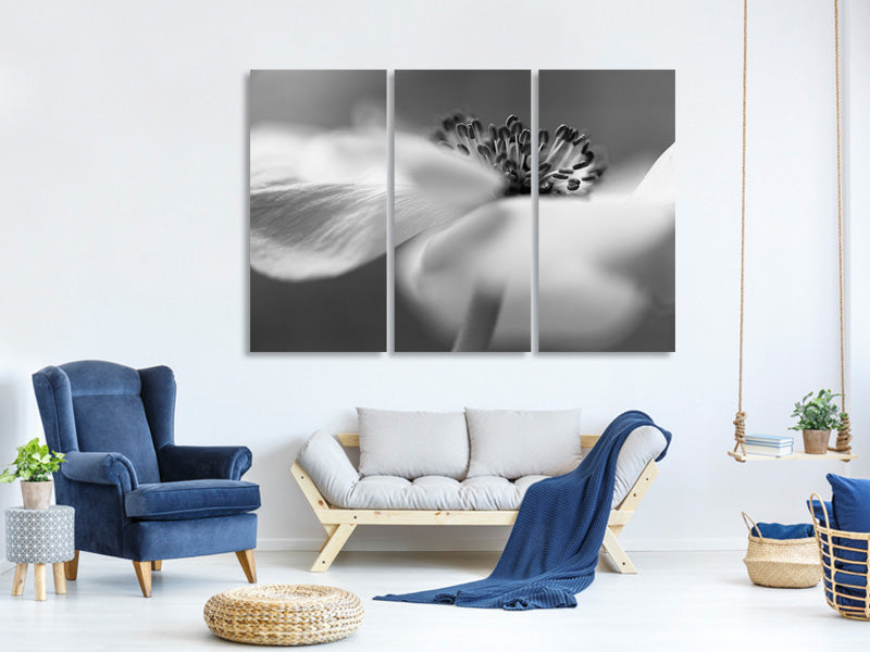 3-piece-canvas-print-untitled-xv