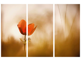 3-piece-canvas-print-untitled-xxxi