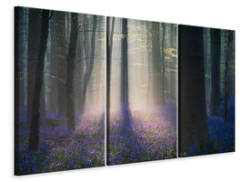 3-piece-canvas-print-velvet-light