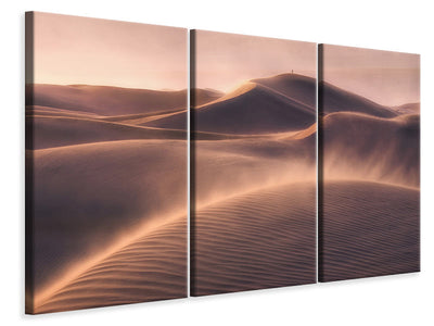 3-piece-canvas-print-viento-de-arena