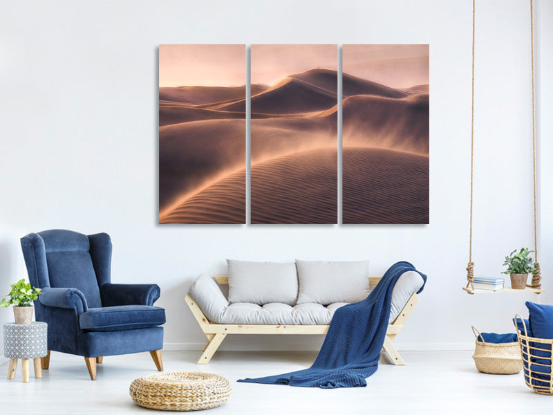 3-piece-canvas-print-viento-de-arena