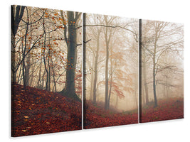 3-piece-canvas-print-waiting-for-the-deer