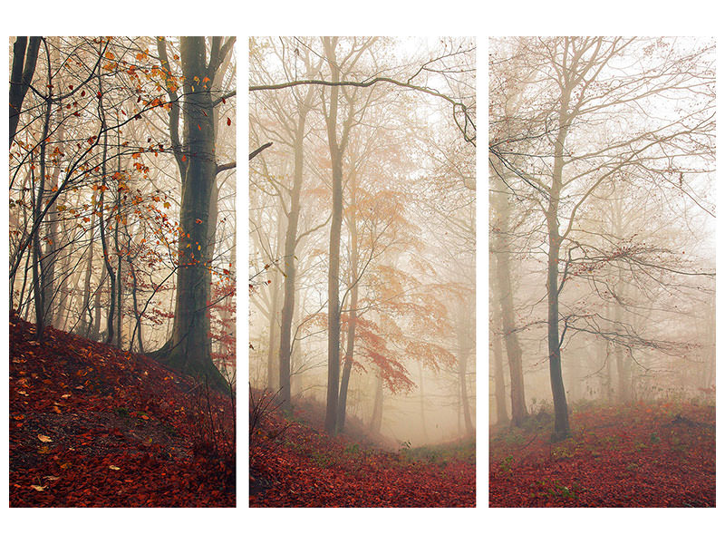 3-piece-canvas-print-waiting-for-the-deer