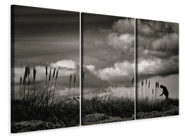 3-piece-canvas-print-waiting-iii