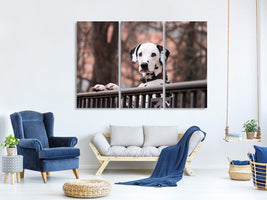 3-piece-canvas-print-watchful-dalmatian