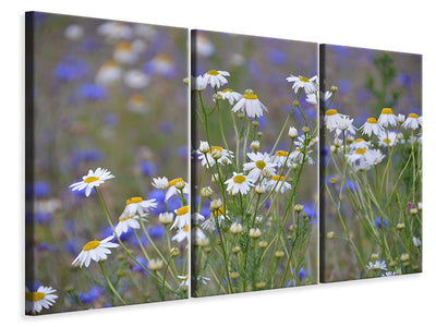 3-piece-canvas-print-wild-flower-meadow