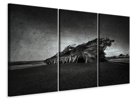 3-piece-canvas-print-wind-blown