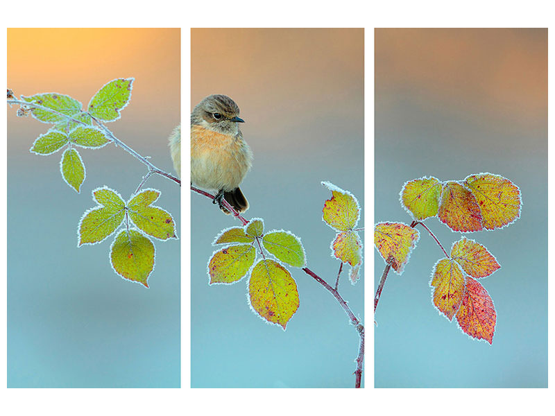 3-piece-canvas-print-winter-colors