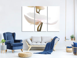 3-piece-canvas-print-xxl-orchid-flower