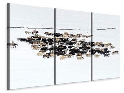 3-piece-canvas-print-yaks-in-snow