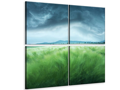 4-piece-canvas-print-barley-field