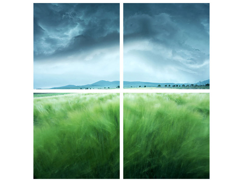 4-piece-canvas-print-barley-field