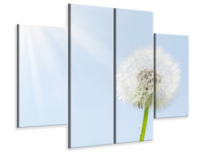 4-piece-canvas-print-dandelion-in-sunbeam