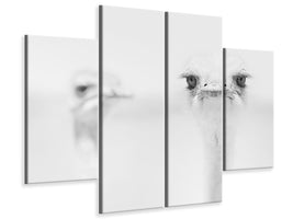 4-piece-canvas-print-funny-ostrich