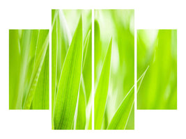 4-piece-canvas-print-grass-xxl