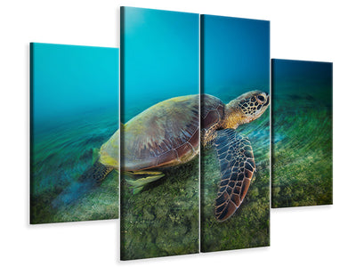 4-piece-canvas-print-green-turtle