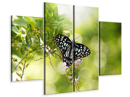 4-piece-canvas-print-papilio-butterfly-xxl