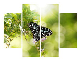 4-piece-canvas-print-papilio-butterfly-xxl