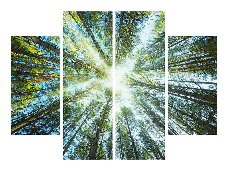 4-piece-canvas-print-pine-forest