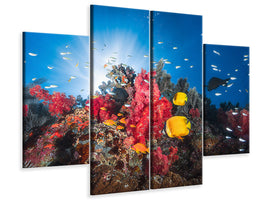 4-piece-canvas-print-reef-life