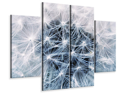 4-piece-canvas-print-ripe-dandelion-close-up
