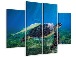 4-piece-canvas-print-sea-turtle