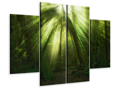 4-piece-canvas-print-the-miracle