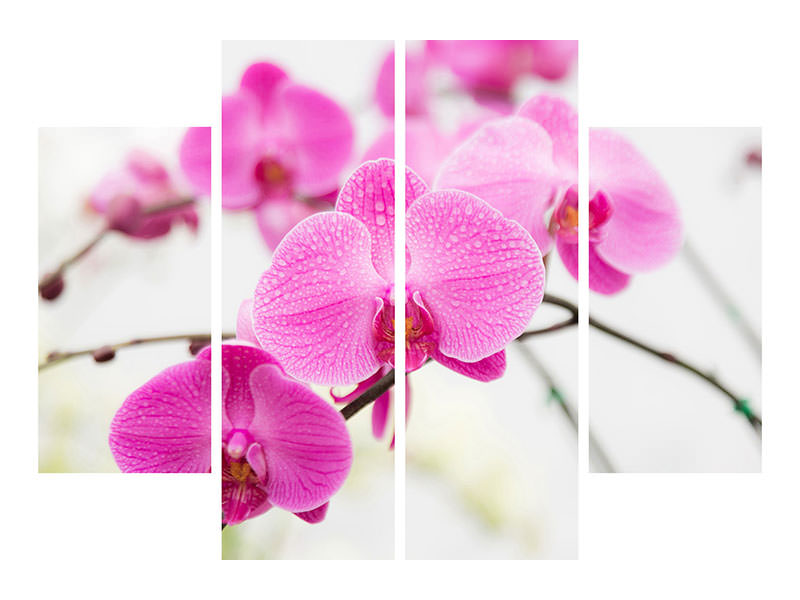 4-piece-canvas-print-the-symbol-of-orchid