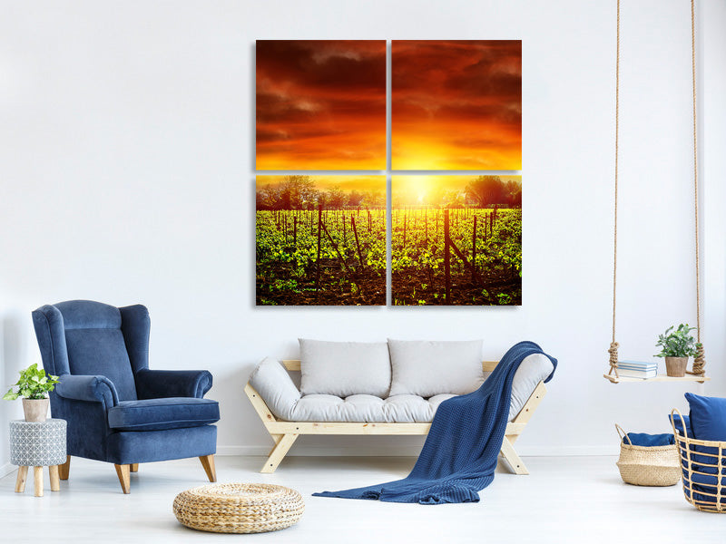 4-piece-canvas-print-the-vineyard-at-sunset