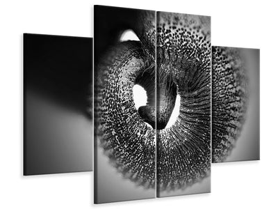 4-piece-canvas-print-trunk