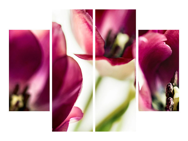 4-piece-canvas-print-tulip-iv