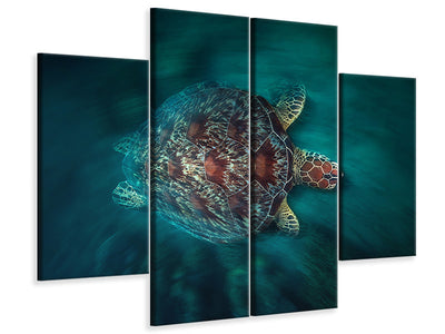 4-piece-canvas-print-valocity-turtle
