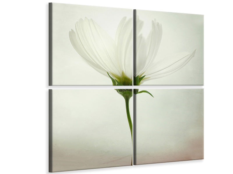 4-piece-canvas-print-white-cosmos