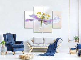 4-piece-canvas-print-wood-anemone