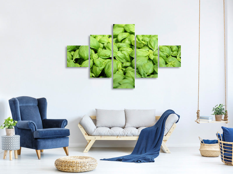 5-piece-canvas-print-all-basil