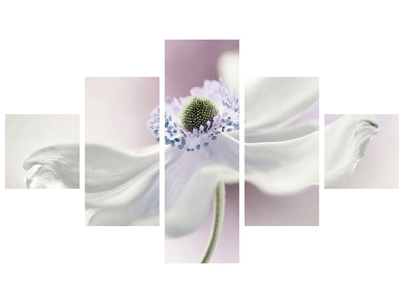 5-piece-canvas-print-anemone-breeze
