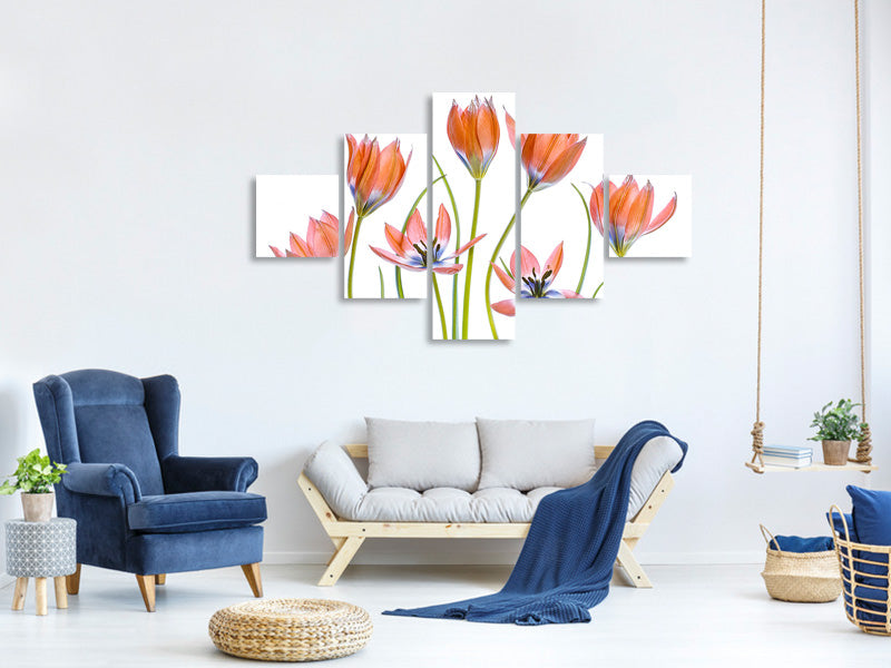 5-piece-canvas-print-apricot-tulips