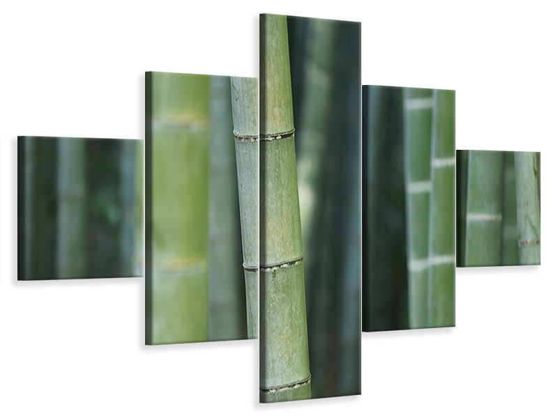 5-piece-canvas-print-bamboo-in-xxl