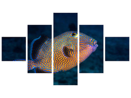 5-piece-canvas-print-blue-triggerfish