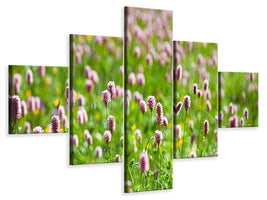 5-piece-canvas-print-clover