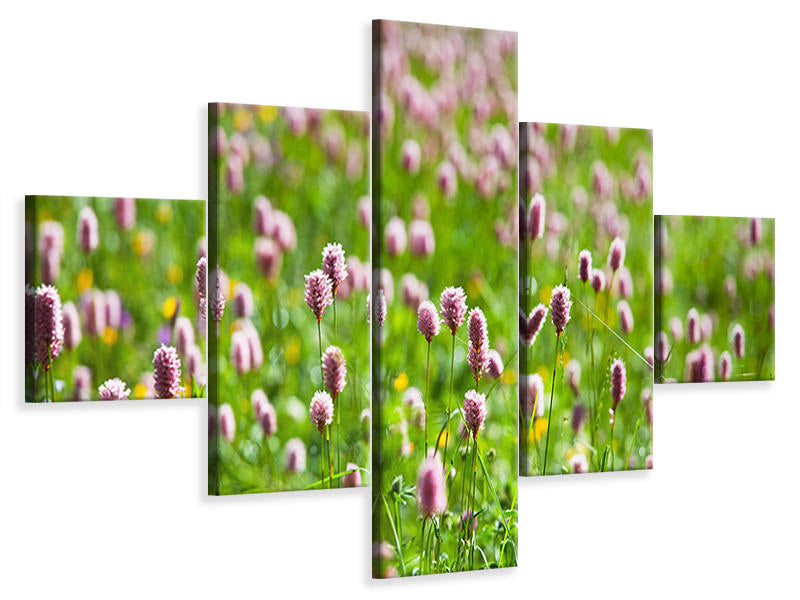 5-piece-canvas-print-clover