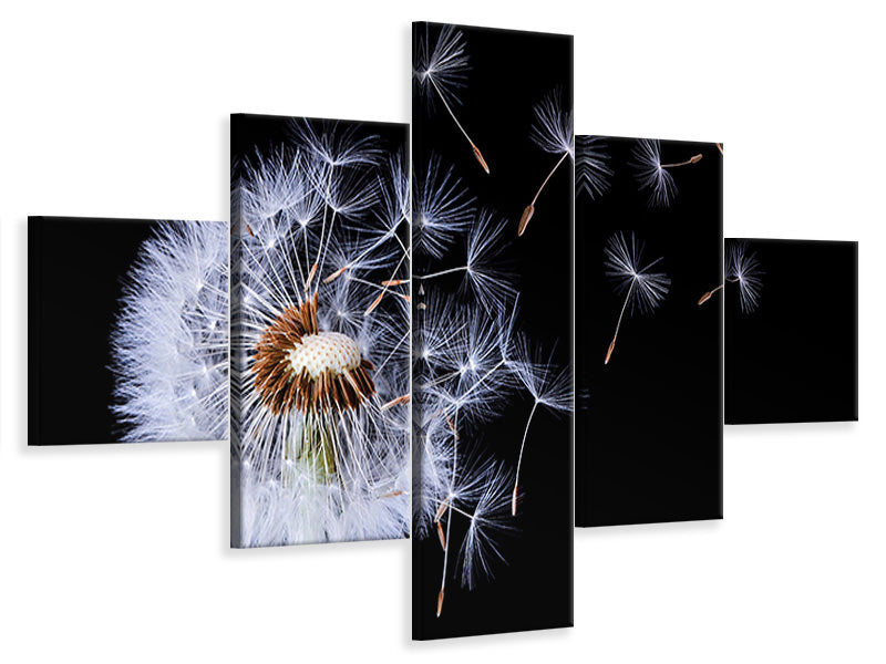 5-piece-canvas-print-dandelion-blowing