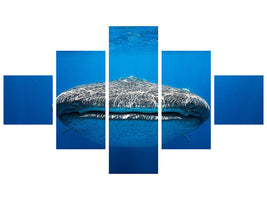 5-piece-canvas-print-face-to-face-with-a-whale-shark