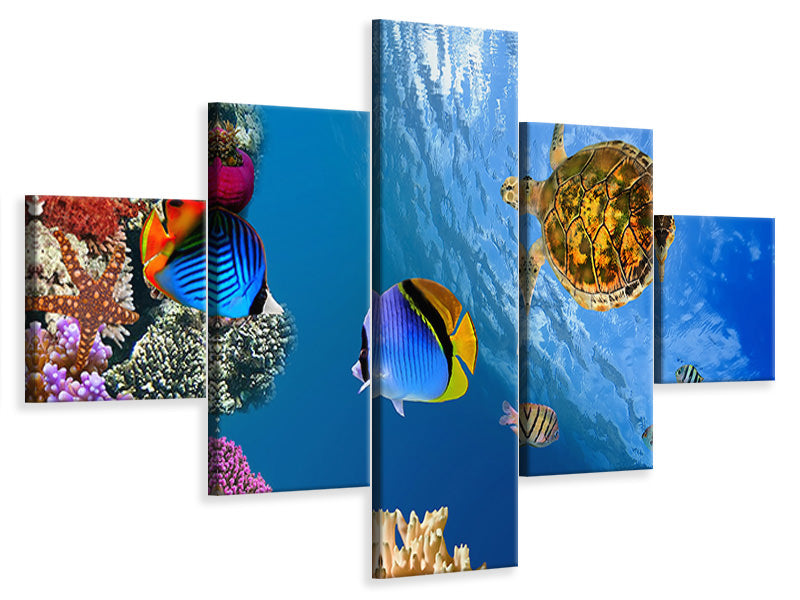 5-piece-canvas-print-fish-in-the-water