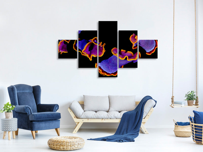 5-piece-canvas-print-flamenco